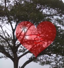 ปกนิยาย Keep Fighting คนนี้ผมจอง