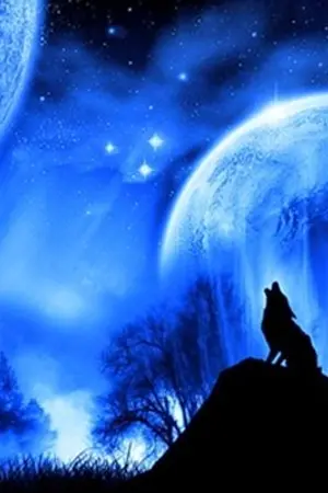 ปกนิยาย บัลลังก์ภูสรวง ภาค จันทราซ่อนกล