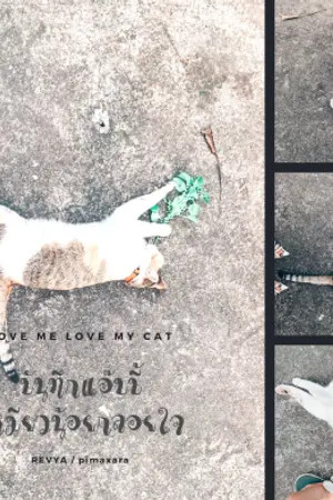 ปกนิยาย บันทึกแอ๊บบี้ เหมียวน้อยกลอยใจ