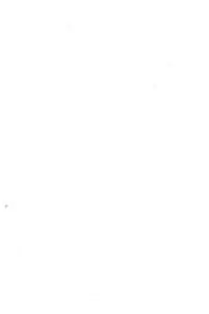 ปกนิยาย My story with you (W)