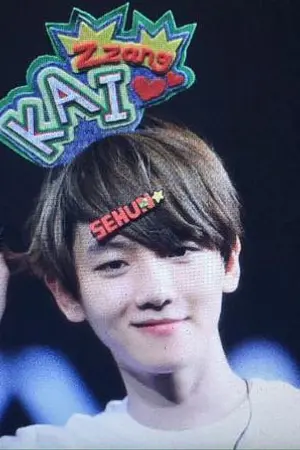 ปกนิยาย [fic exo] หวัดดี เราแบคฮยอน ยินดีที่ได้รู้จักนะ หึ  (chanbaek,kaisoo)