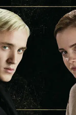 ปกนิยาย No reason ไม่มีเหตุผล...ที่ฉันรักเธอ [Draco x Hermione]