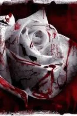 ปกนิยาย Broken heart [Draco x Hermione]