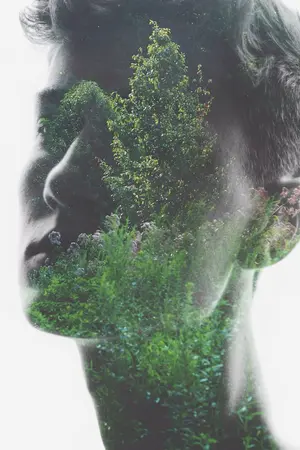 ปกนิยาย LOST IN THE JUNGLE.