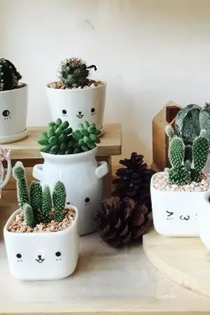 ปกนิยาย [OS | | SF] PD101 & Wannaone