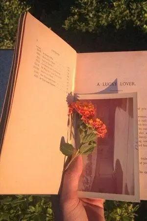 ปกนิยาย [MONSTA X] Please Say Love #HOKY