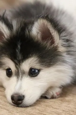 ปกนิยาย MEAN : NCT NOREN