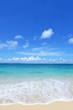 ปกนิยาย เกาหลีเอย ฉันมาแล้ว