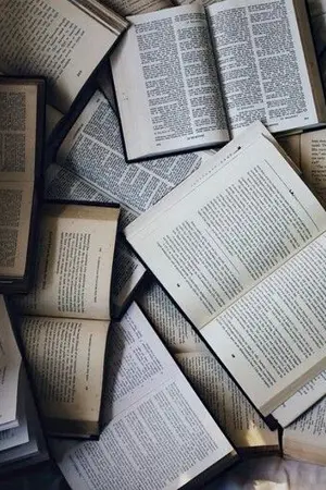 ปกนิยาย TaleStoryTEAROOM