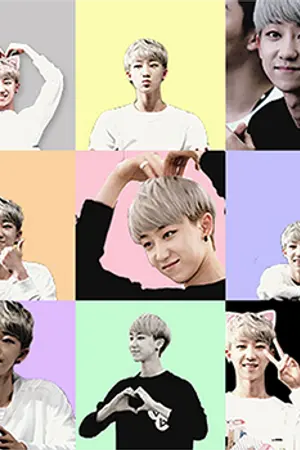 ปกนิยาย sf/os - seventeen