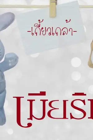 ปกนิยาย เมียริมรั้ว ( ตีพิมพ์ สํานักพิมพ์ Touch ) reup