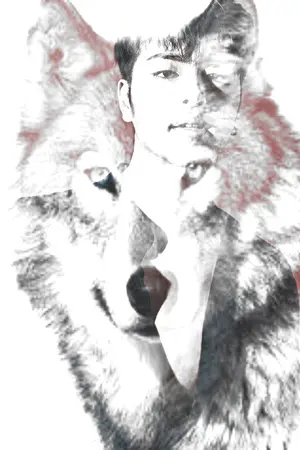 ปกนิยาย ... MA WOLF ... [FIC IKON : JUNJIN]