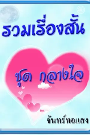 ปกนิยาย