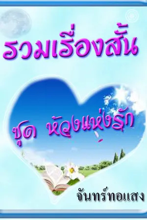 ปกนิยาย