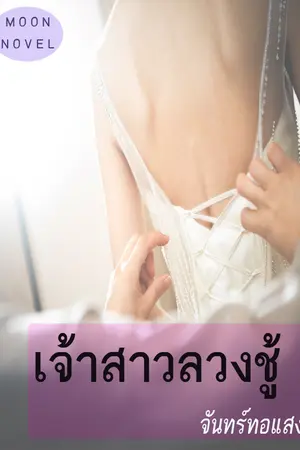 ปกนิยาย