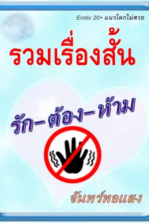 ปกนิยาย ซีรีย์ชุด รัก-ต้อง-ห้าม