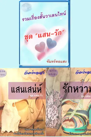 ปกนิยาย ซีรีย์ชุด แสน-รัก