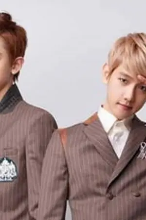 ปกนิยาย [EXO - ChanBaekHun] มิทิออร์