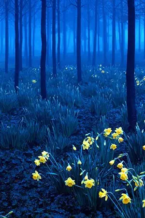 ปกนิยาย เกิดใหม่ทั้งทีดันได้อยู่ในร่างหนุ่มฮอตไปเสียแล้ว