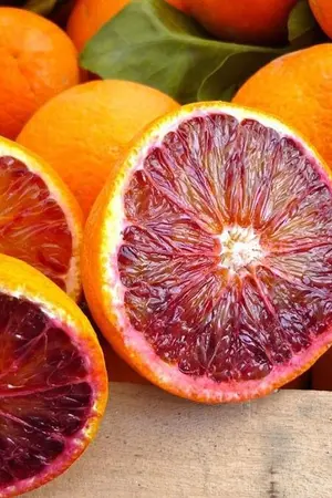 ปกนิยาย ส้มสีเลือด