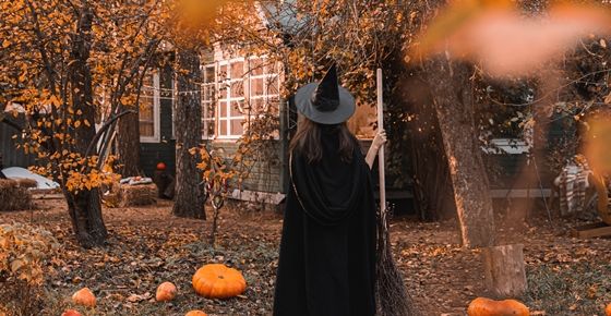 ภาพจาก unsplash.com