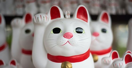 (ภาพจาก unsplash.com)