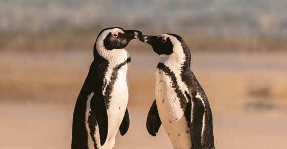 (ภาพจาก pexels.com)