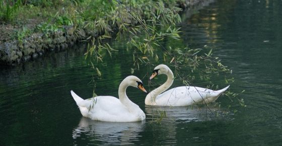 (ภาพจาก pexels.com)