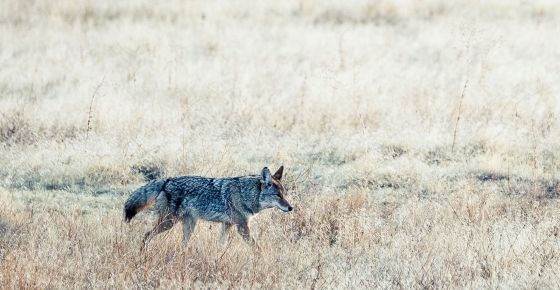 (ภาพจาก pexels.com)