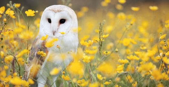 (ภาพจาก unsplash.com)