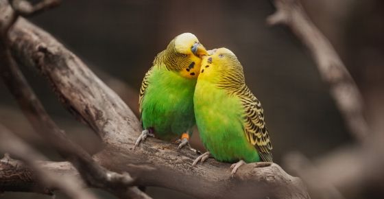 (ภาพจาก unsplash.com)