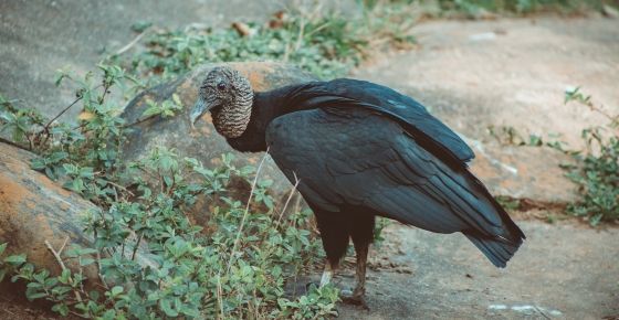 (ภาพจาก unsplash.com)