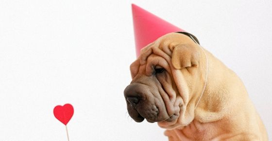 (ภาพจาก pexels.com)