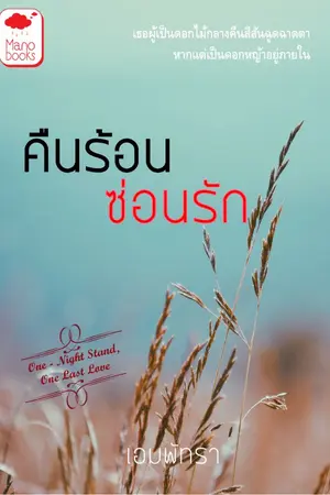 ปกนิยาย