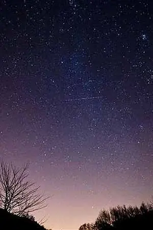 ปกนิยาย Still (Sasusaku)