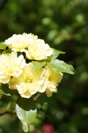 ปกนิยาย Lots Of Love [Seungchuchu]