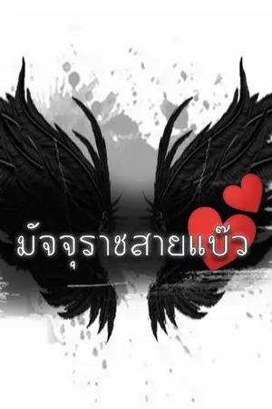 ปกนิยาย