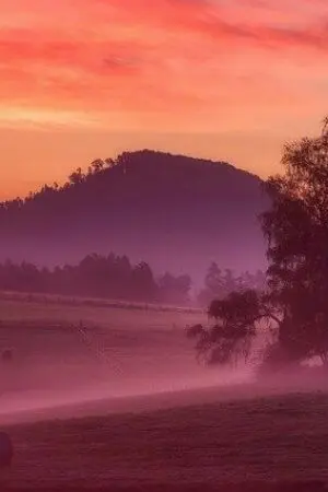 ปกนิยาย ย้อนอดีตไปบุกเบิก