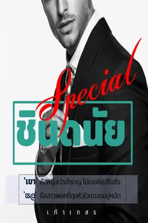 ปกนิยาย ชินดนัย Special