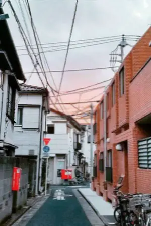 ปกนิยาย :: ZOMA > > Yaoi