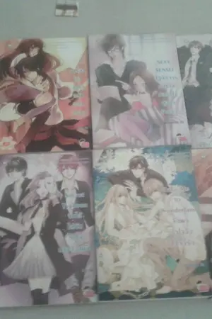 ปกนิยาย ขายนิยายที่คั่นแจ่มใส+The dragon's heart (ราคาต่อรองกันได้)