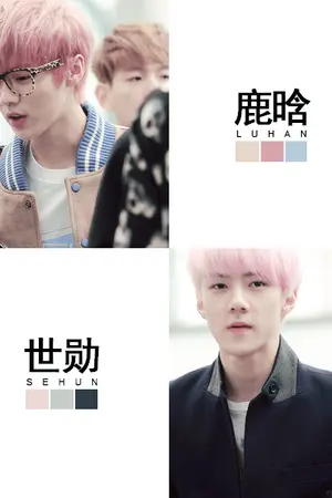 ปกนิยาย SYMPATHY (HUNHAN)