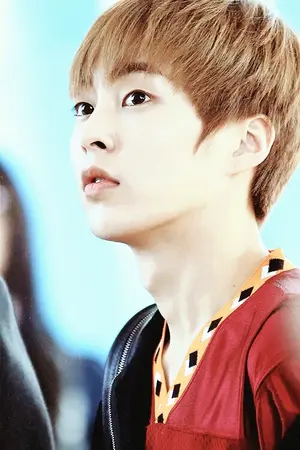 ปกนิยาย [FIC EXO] Sorry,Sorry (I still love you) [Lumin|Krislay|ft.Kaihun]