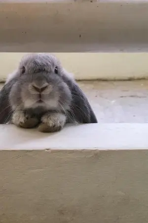 ปกนิยาย #หนมเหนียวกอดกัน l HUNBAEK