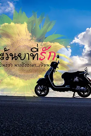 ปกนิยาย