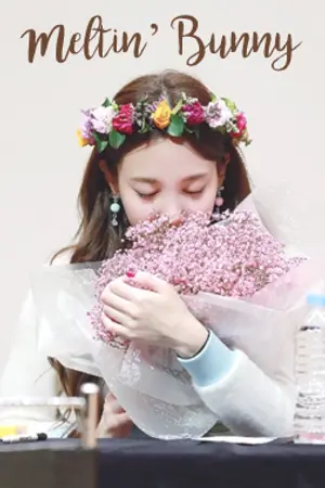 ปกนิยาย 《TWICE》 Meltin' Bunny : 2YEON