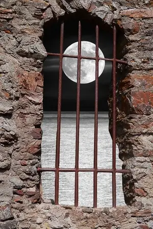 ปกนิยาย [Fic GOT7] SURVIVAL #MarkBam