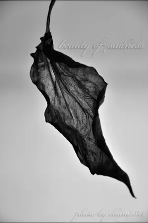 ปกนิยาย ควาดหวาดกลัว