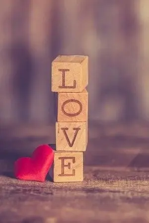 ปกนิยาย Love You รุ่นพี่ที่รัก