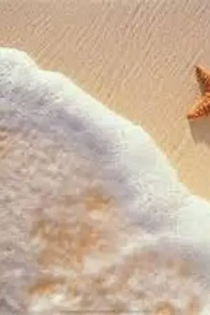 ปกนิยาย บุหลันลายโศก